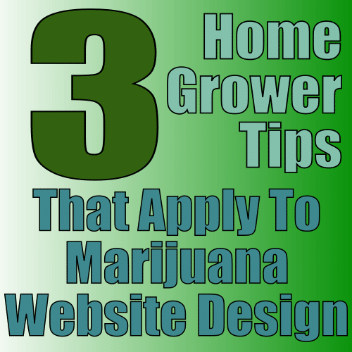 Beginning Cannabis HomeGrower Tips That Apply To Marijuana Website Design